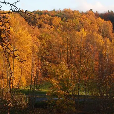 Ferienwohnung Und Pension 